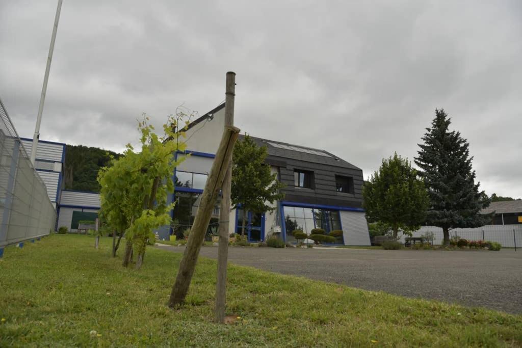 Apartment Les Cigognes De La Doller